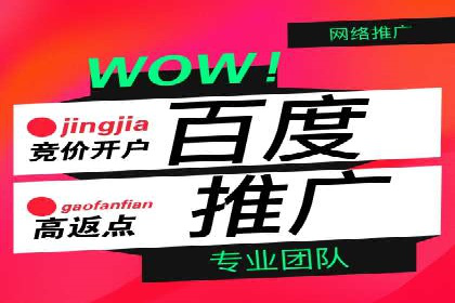 sem托管服务实战案例：精准定位，广告投放效果显著